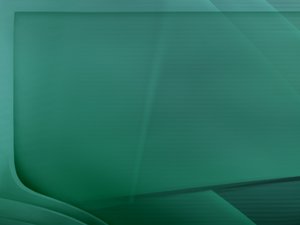 电商平台商家违规行为处罚标准